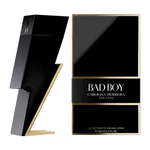 Bad Boy 100 ml EDT